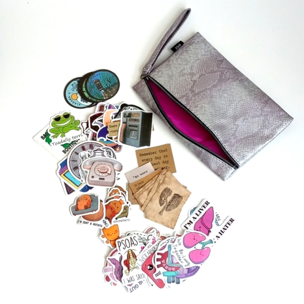 Bundle Of Various Fun Stickers With A Zipper Carry Case